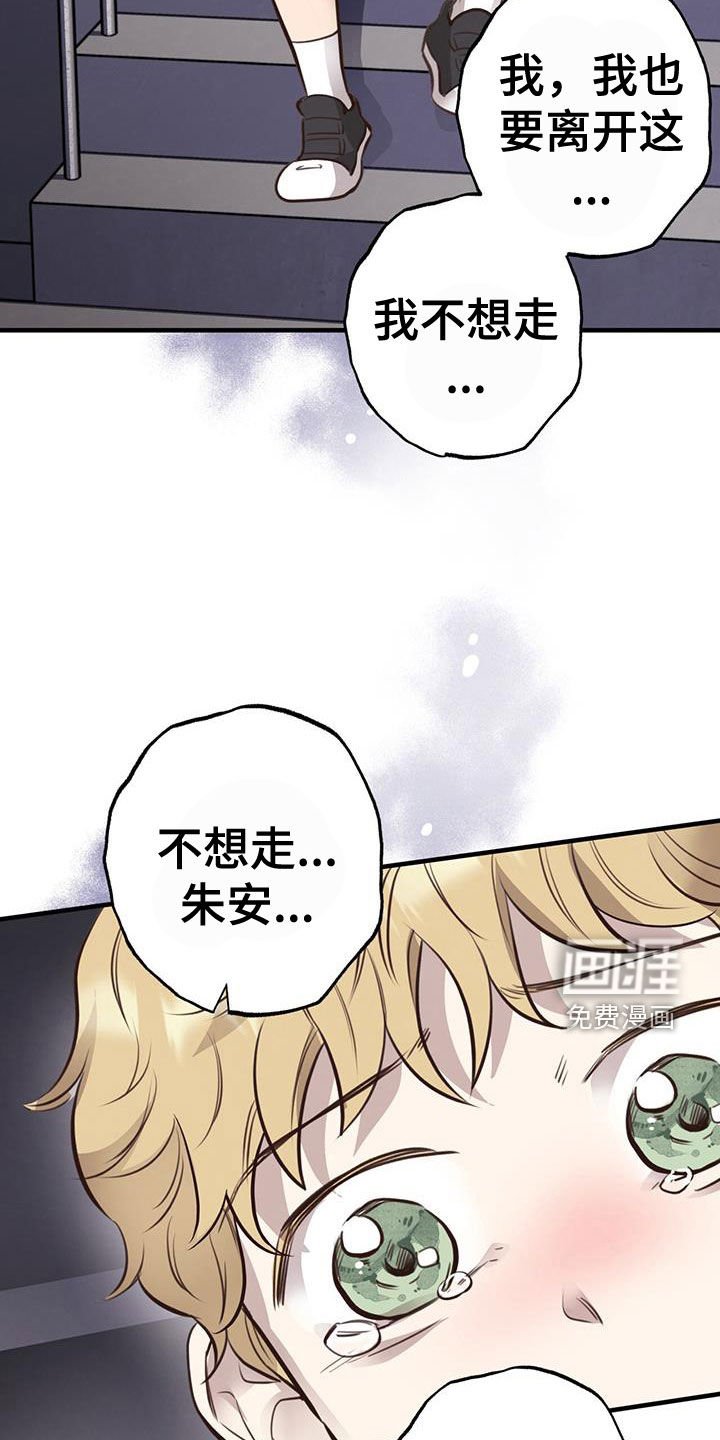 第71章：【第二季】也是初恋