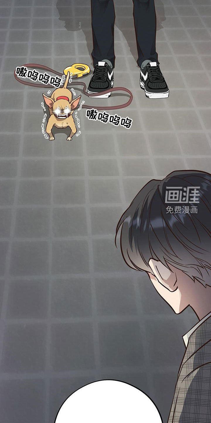 第79章：【第二季】撞见