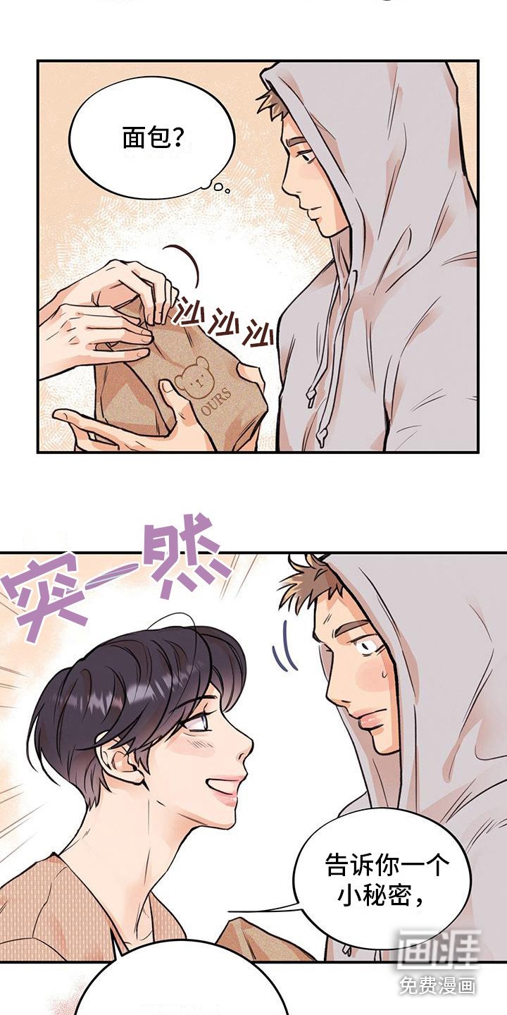第8章：小熊图案