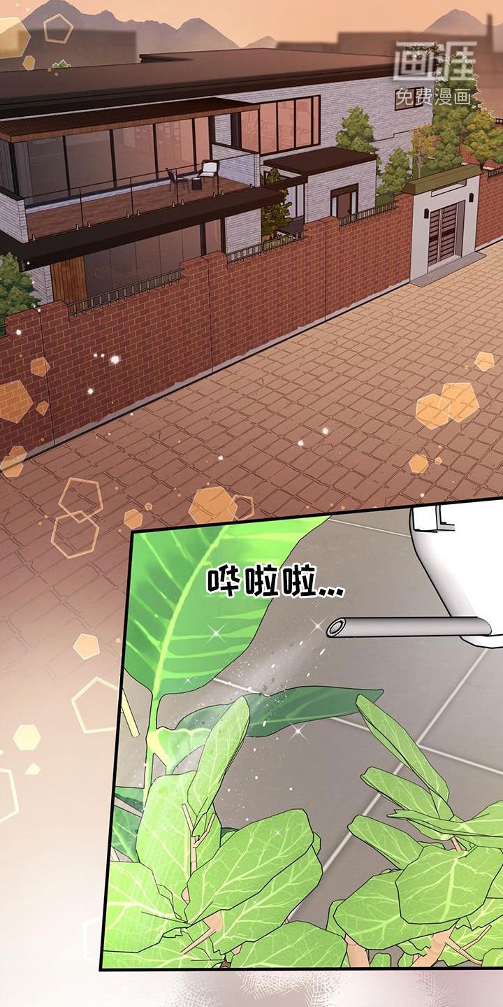 第82章：【第二季】照片