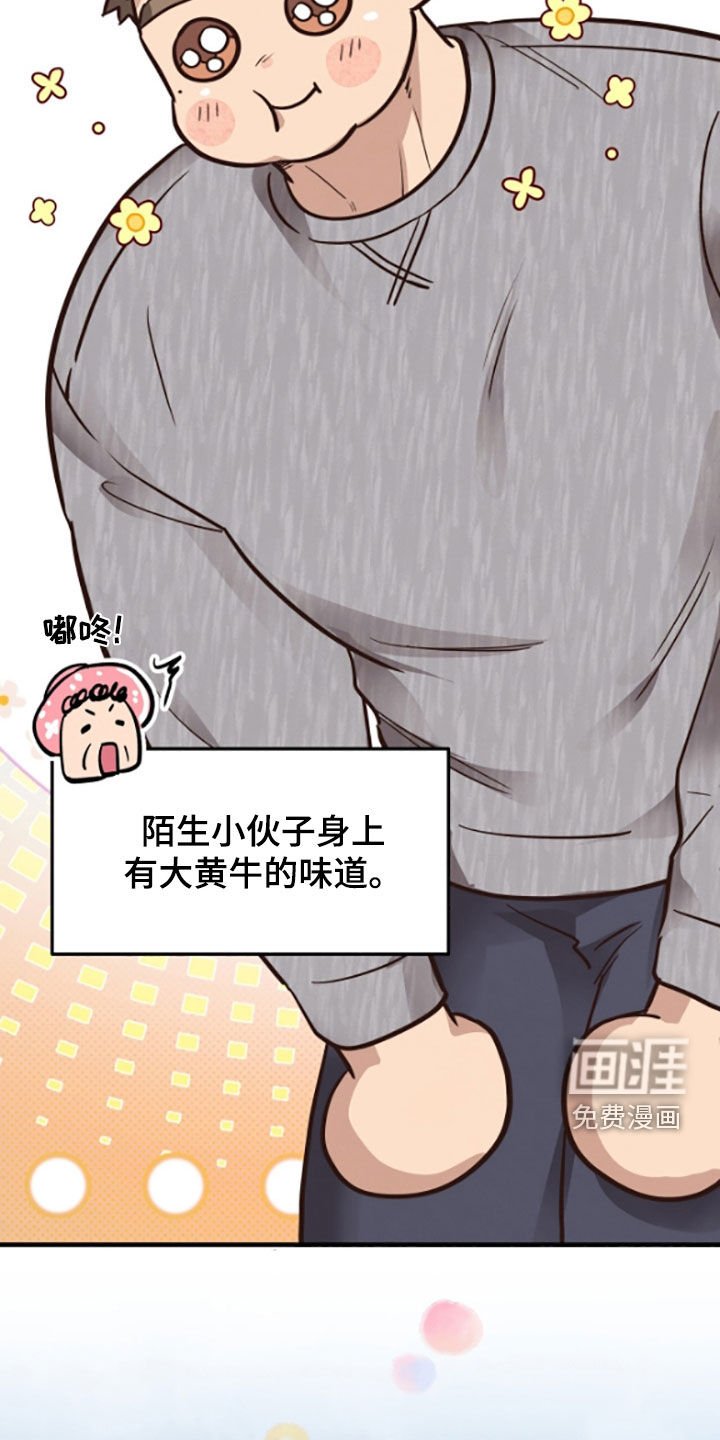 第95章：【第二季】大黄牛