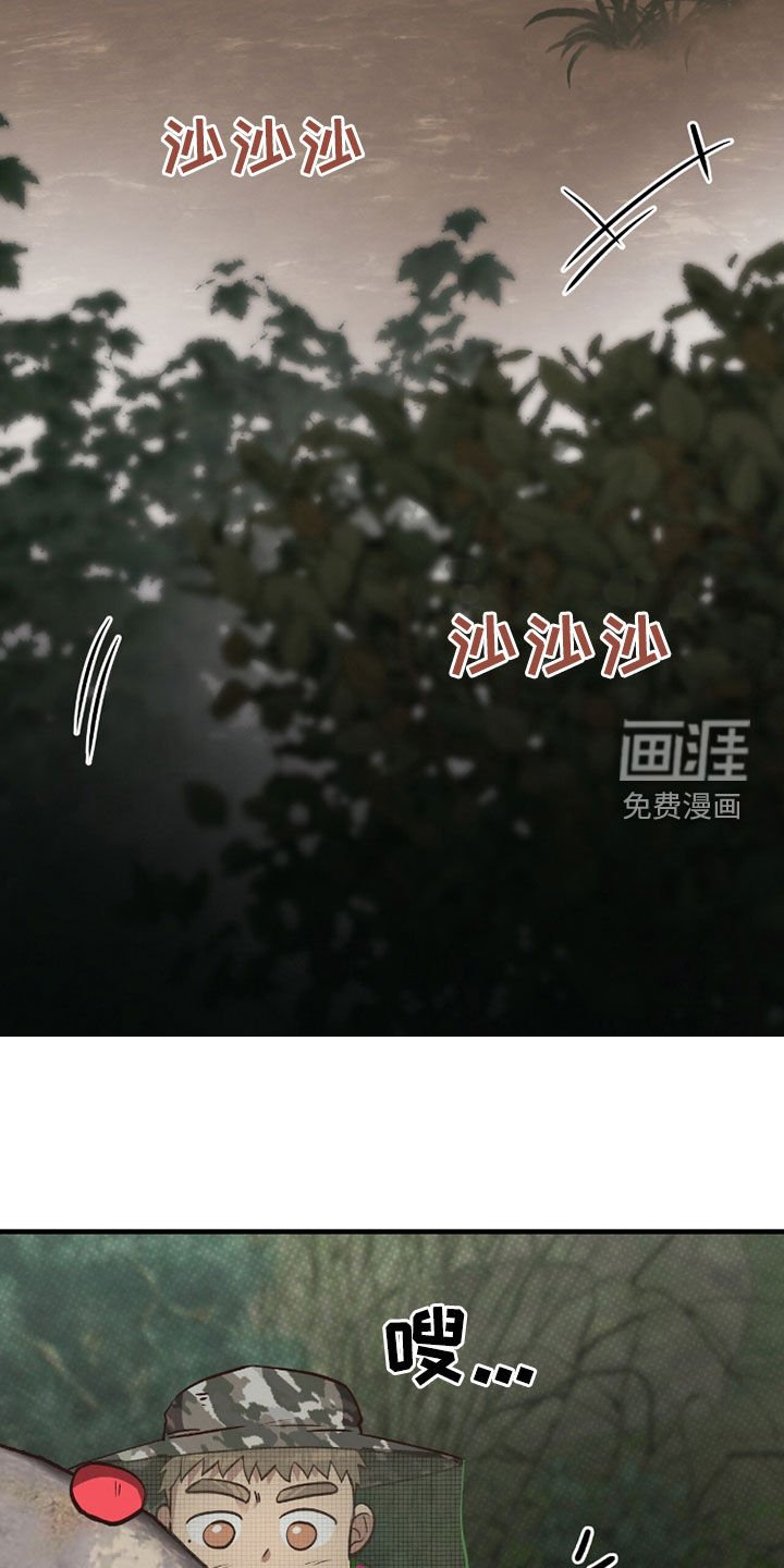第97章：【第二季】斗兽
