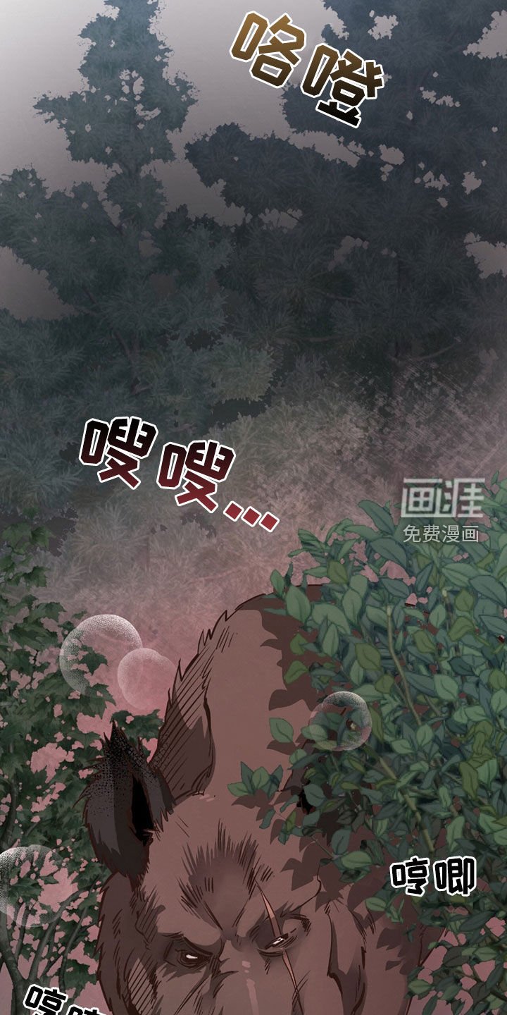 第97章：【第二季】斗兽
