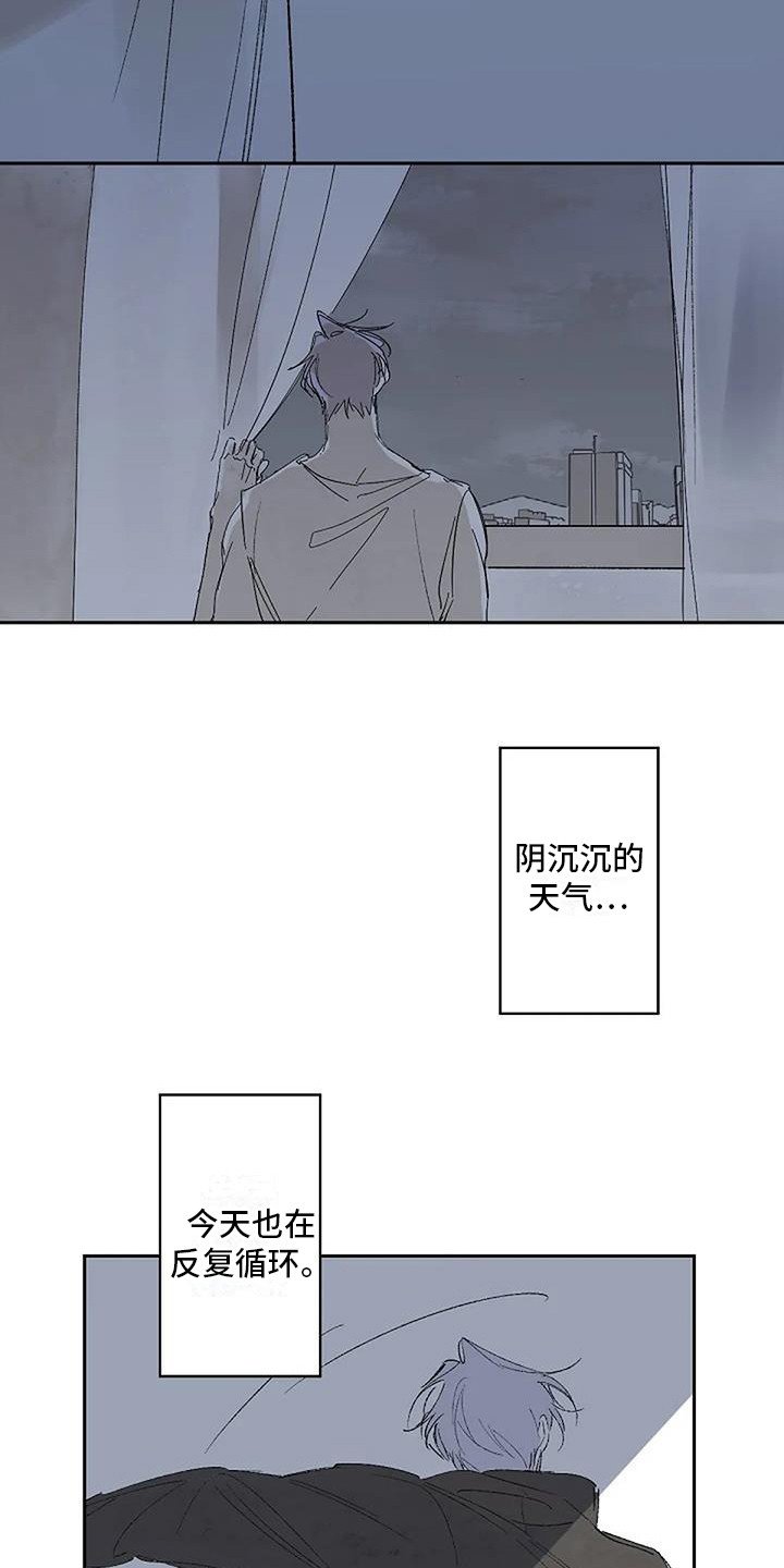 第1章：日复一日