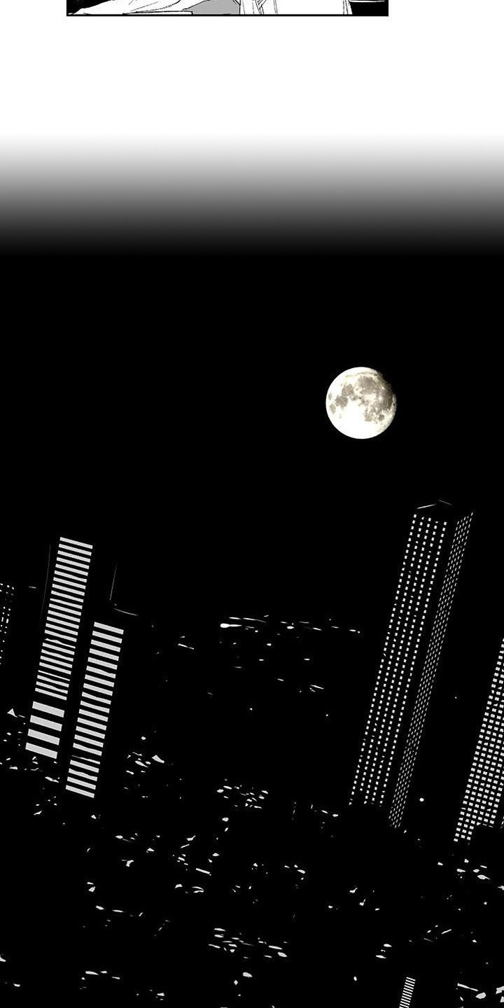 第1章：日复一日