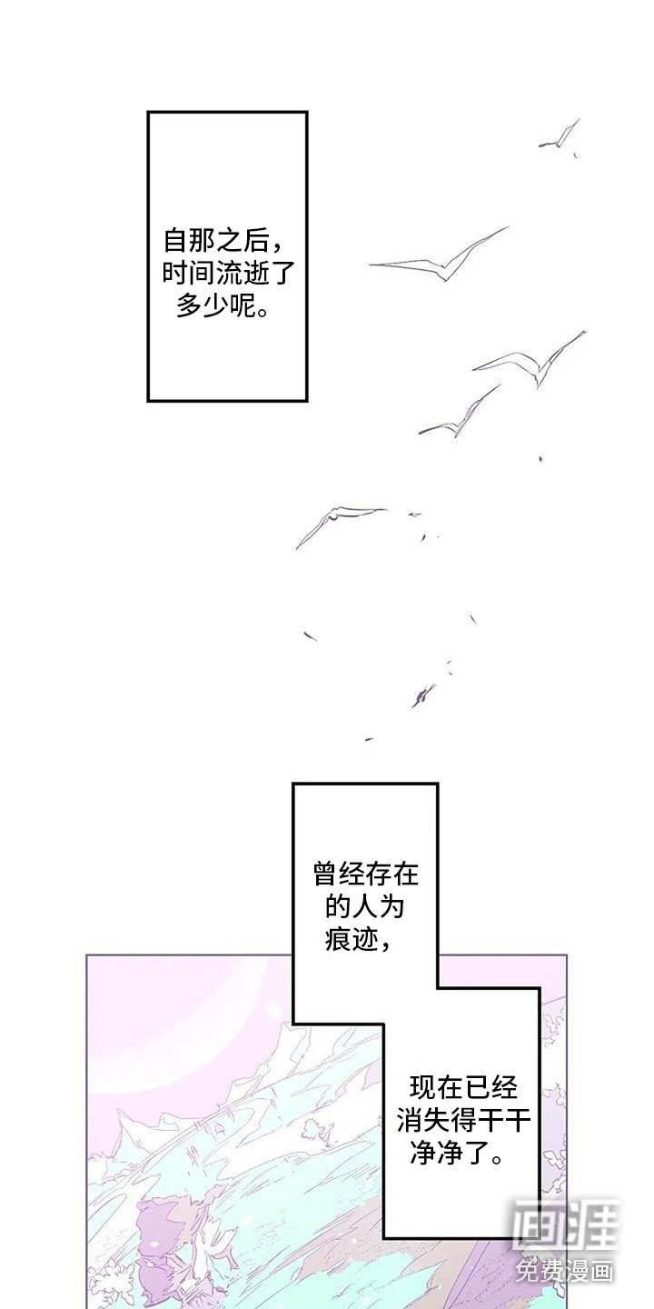 第11章：很美丽 