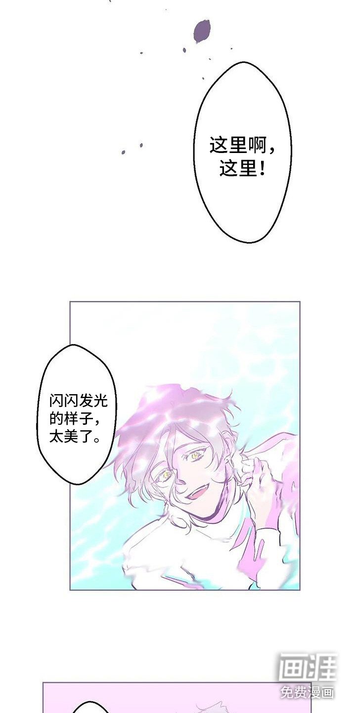 第11章：很美丽 