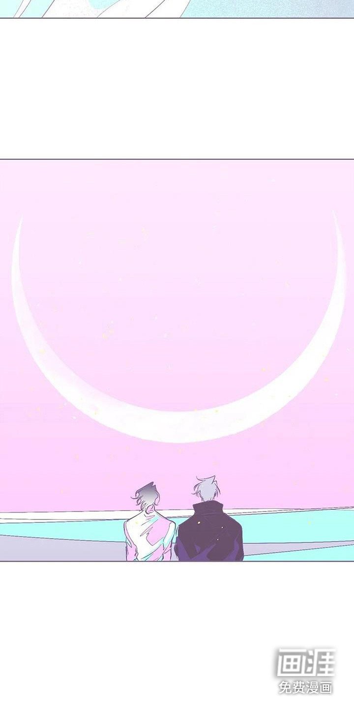 第13章：灵感来源（完结）