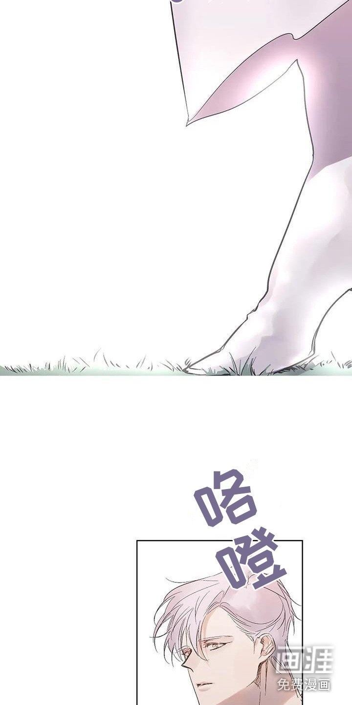 第13章：灵感来源（完结）