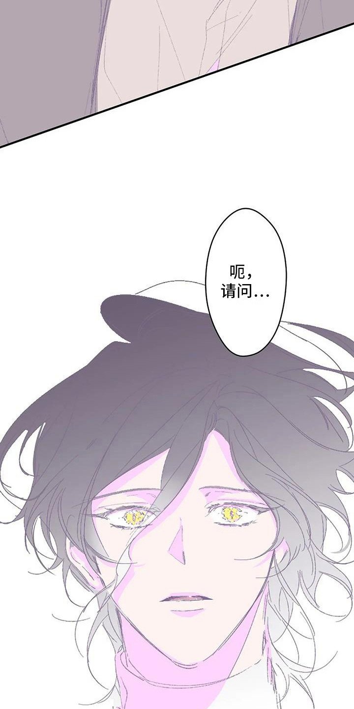 第3章：白衣人