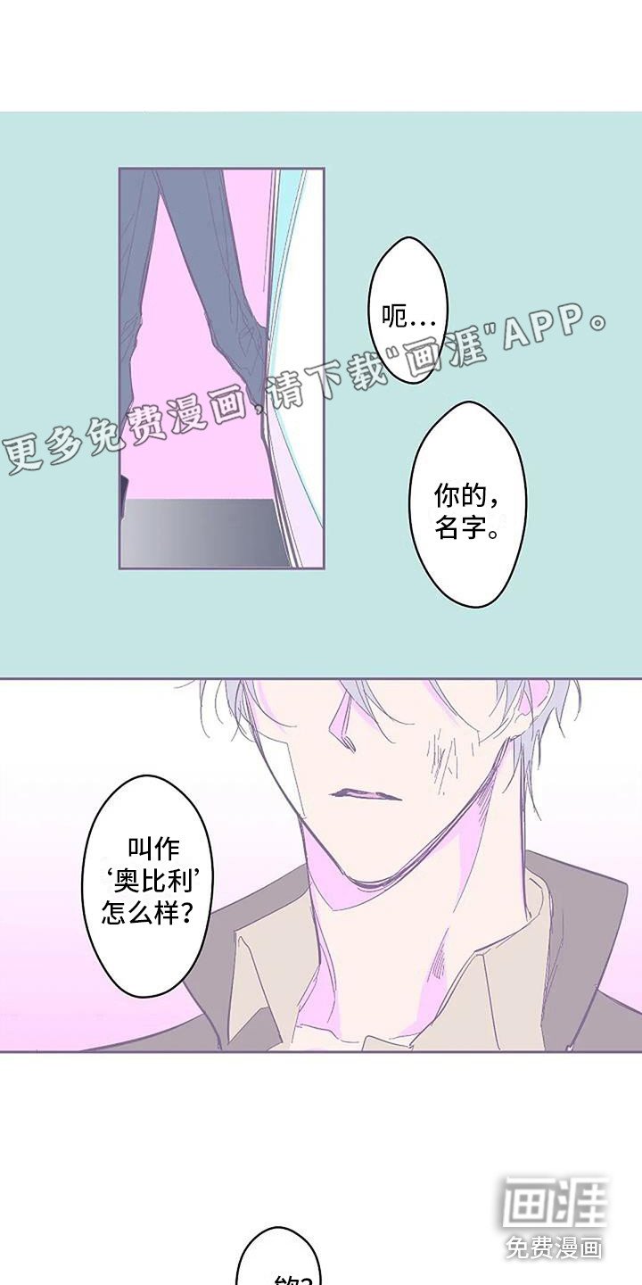 第5章：取名字