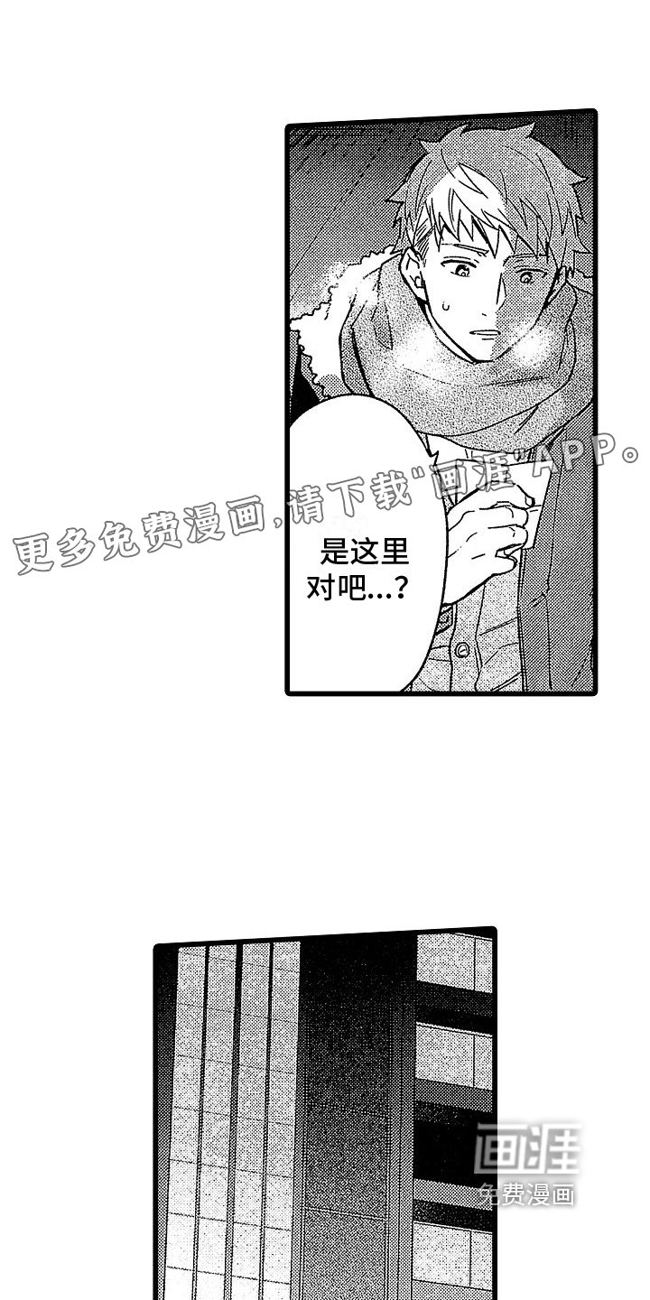 第13章：想法