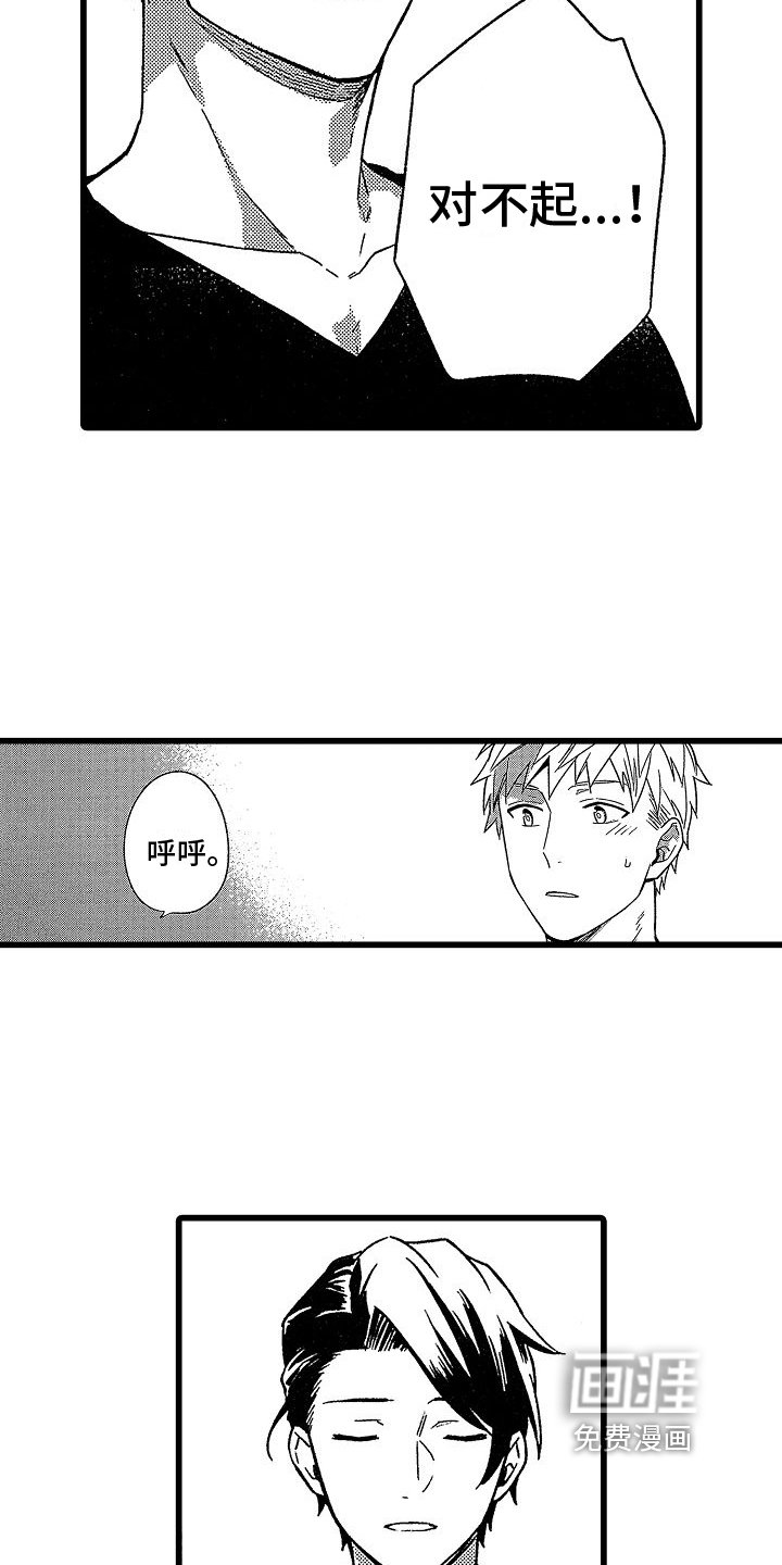 第13章：想法