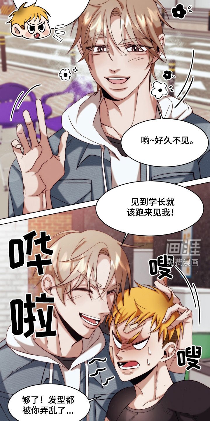第13章：【第二季】友情与爱：都是你的错