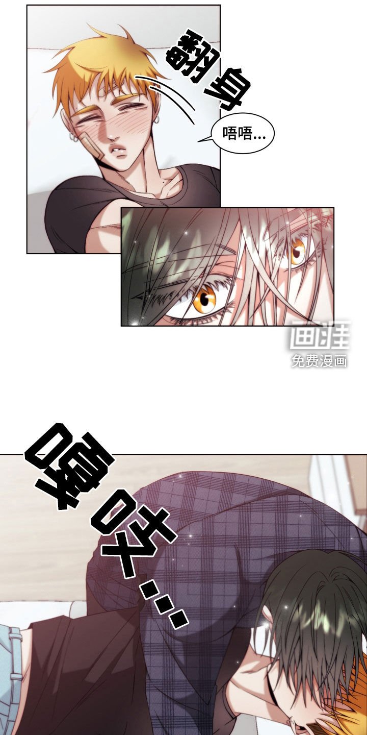 第13章：【第二季】友情与爱：都是你的错