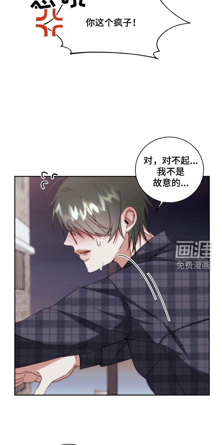 第14章：【第二季】友情与爱：真恶心