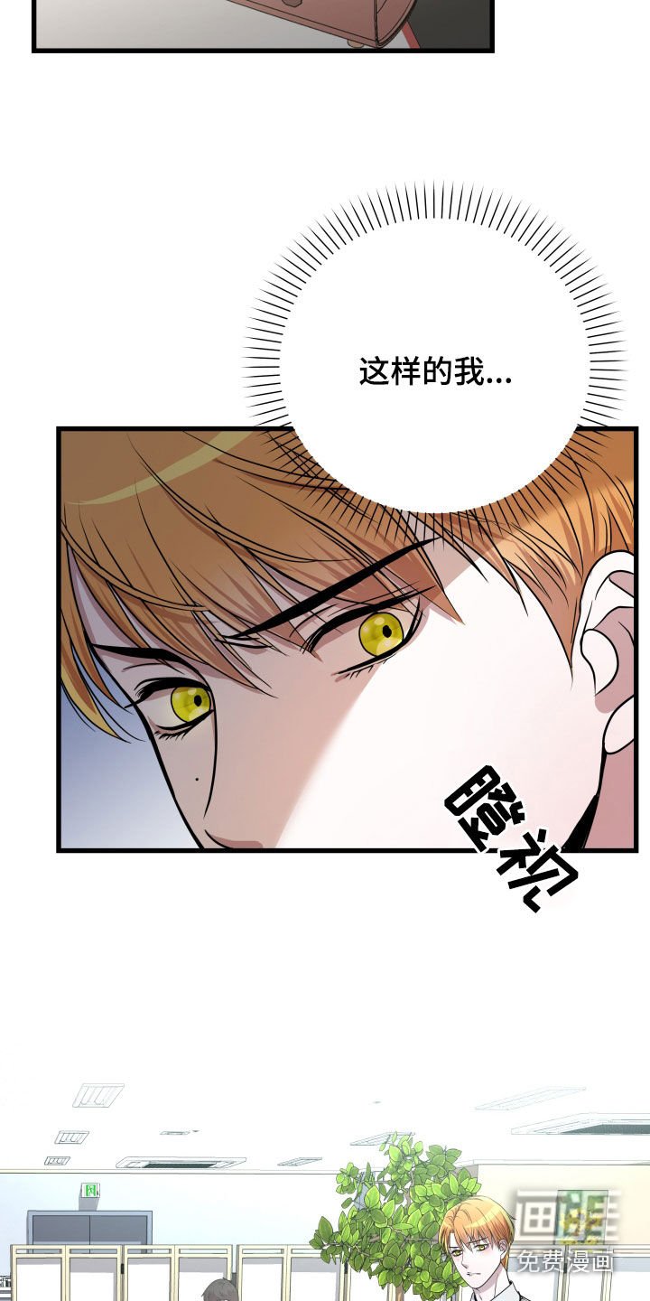 第34章：【第二季】孤僻万人迷：完美男人