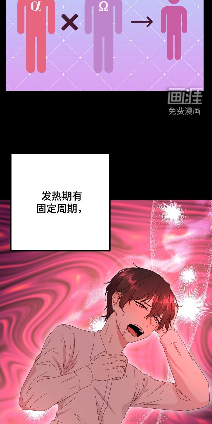 第48章：【第二季】三种性别：例外