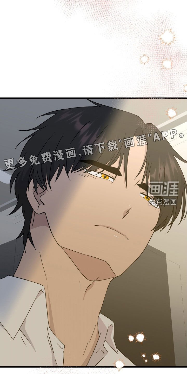 第56章：【第二季】三种性别：没喜欢过别人（完）