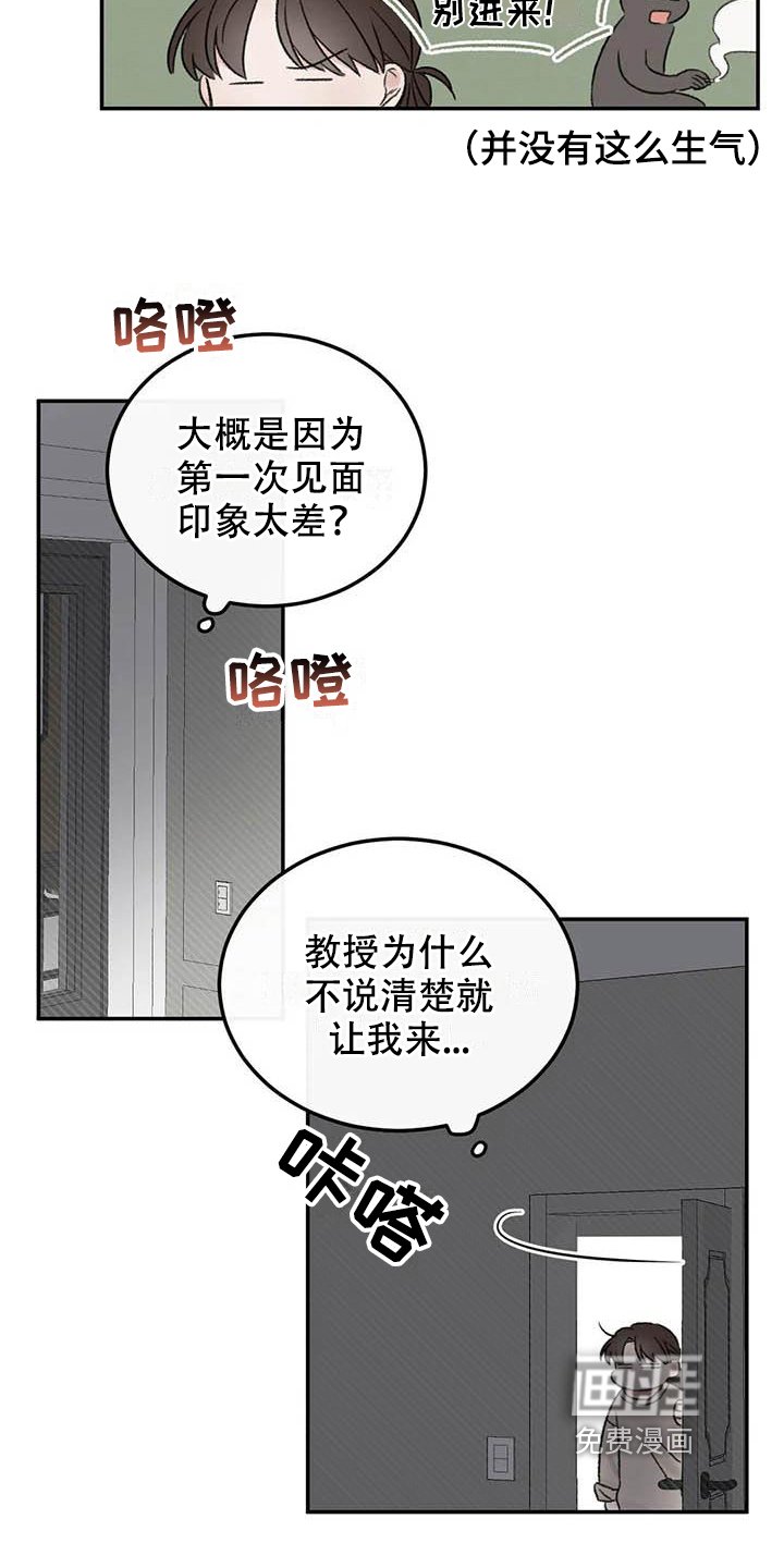 第11章：整理