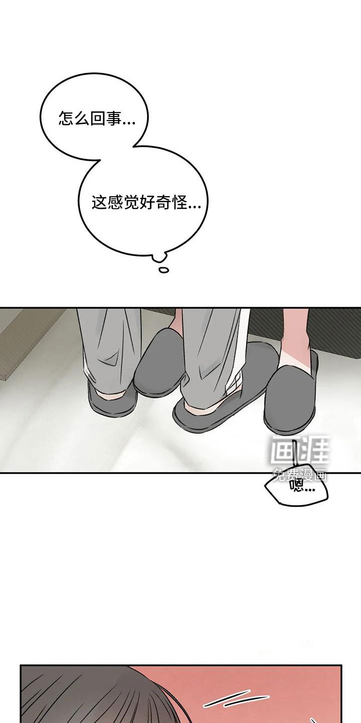 第66章：猜想