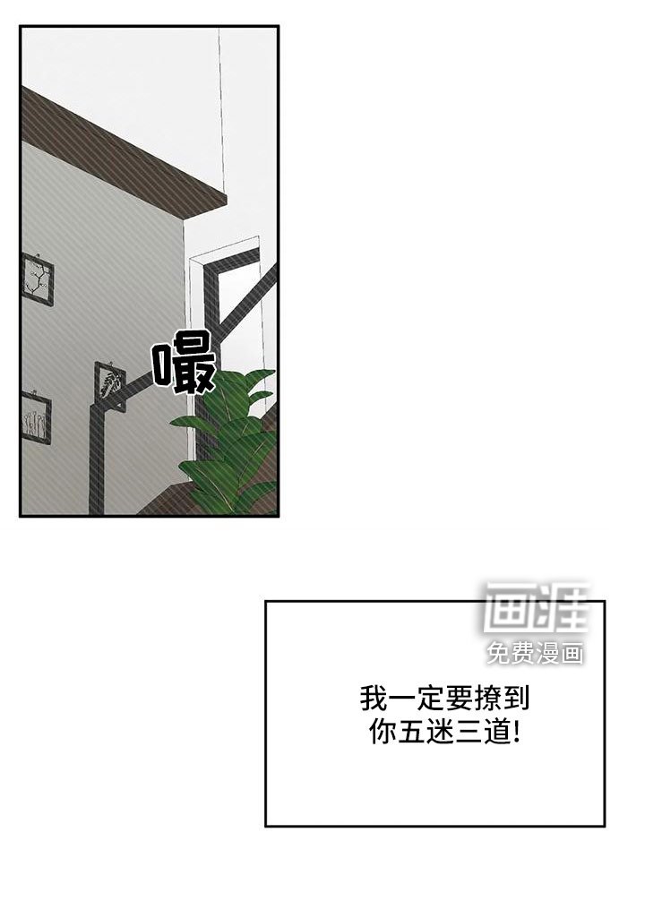 第67章：五迷三道