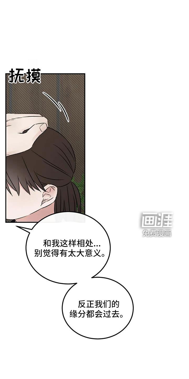 第78章：多伤我的心