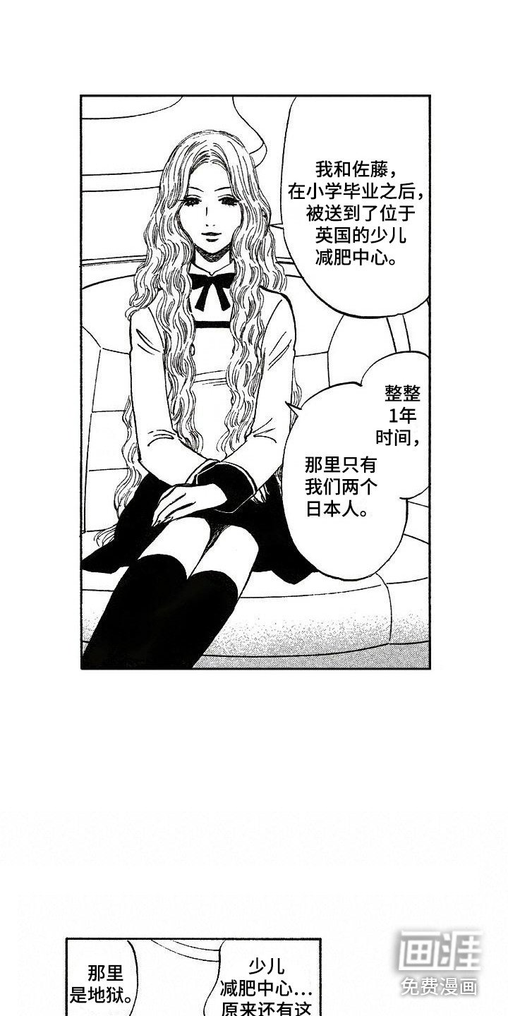 第19章：解释