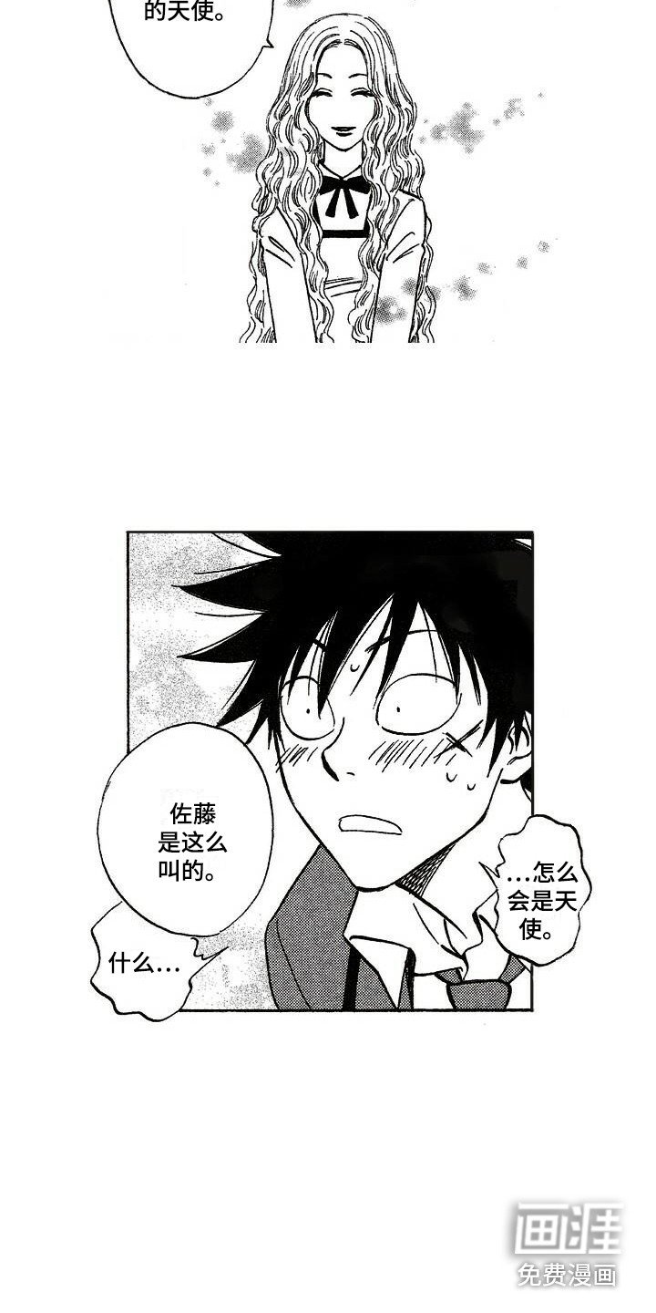第19章：解释
