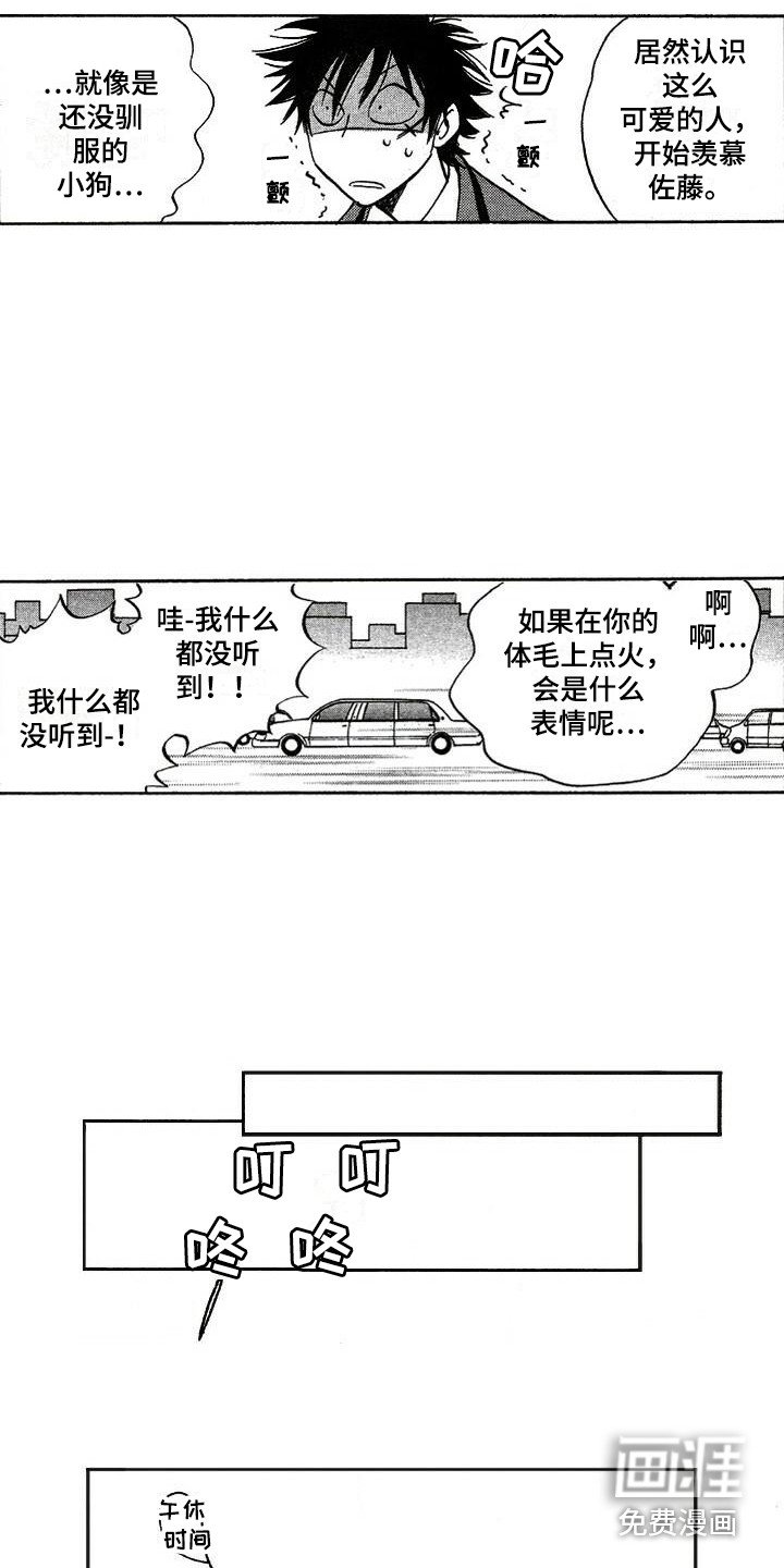 第19章：解释