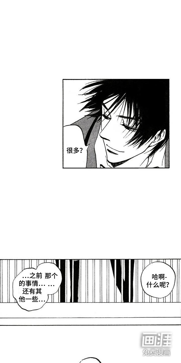 第19章：解释