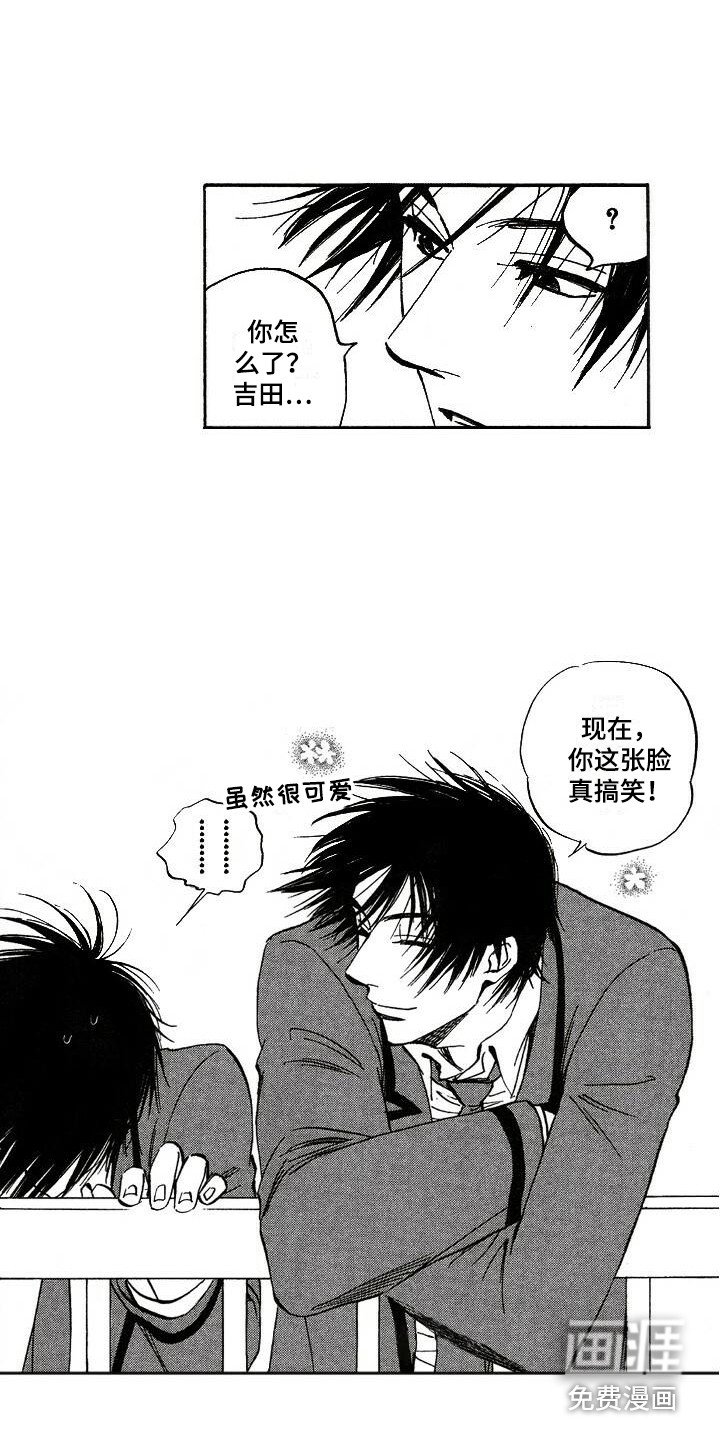 第19章：解释