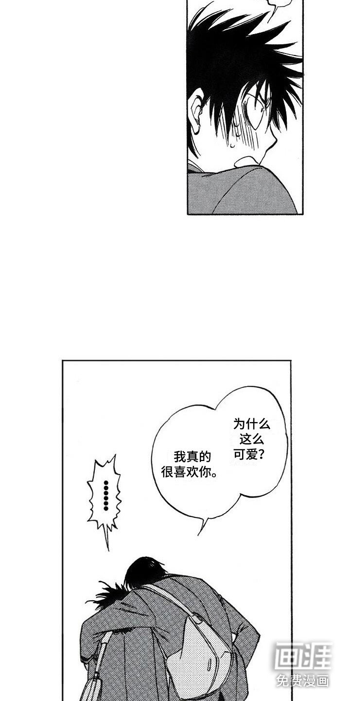 第23章：可爱