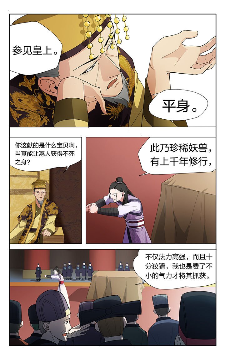 第12章：