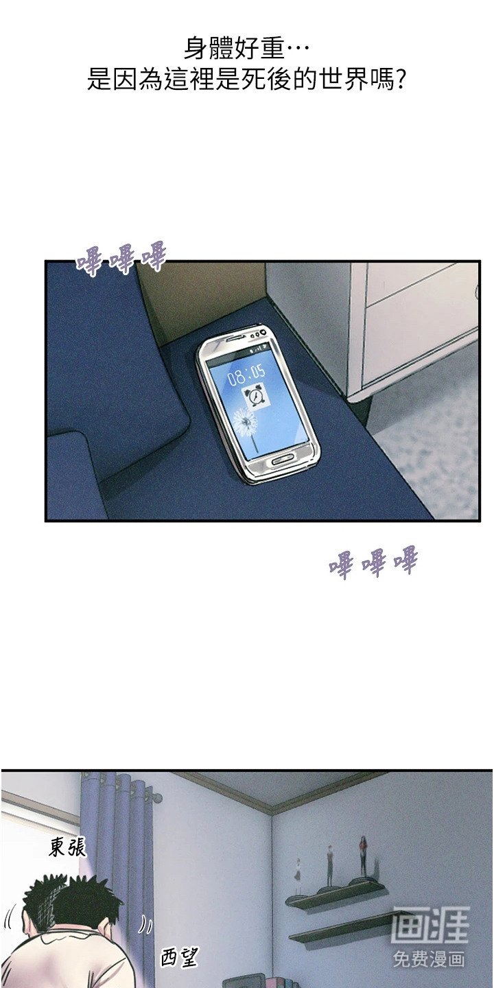 第1章：堕落的人生