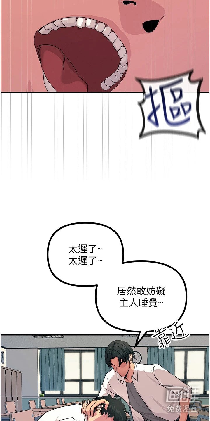 第11章：慢慢调查