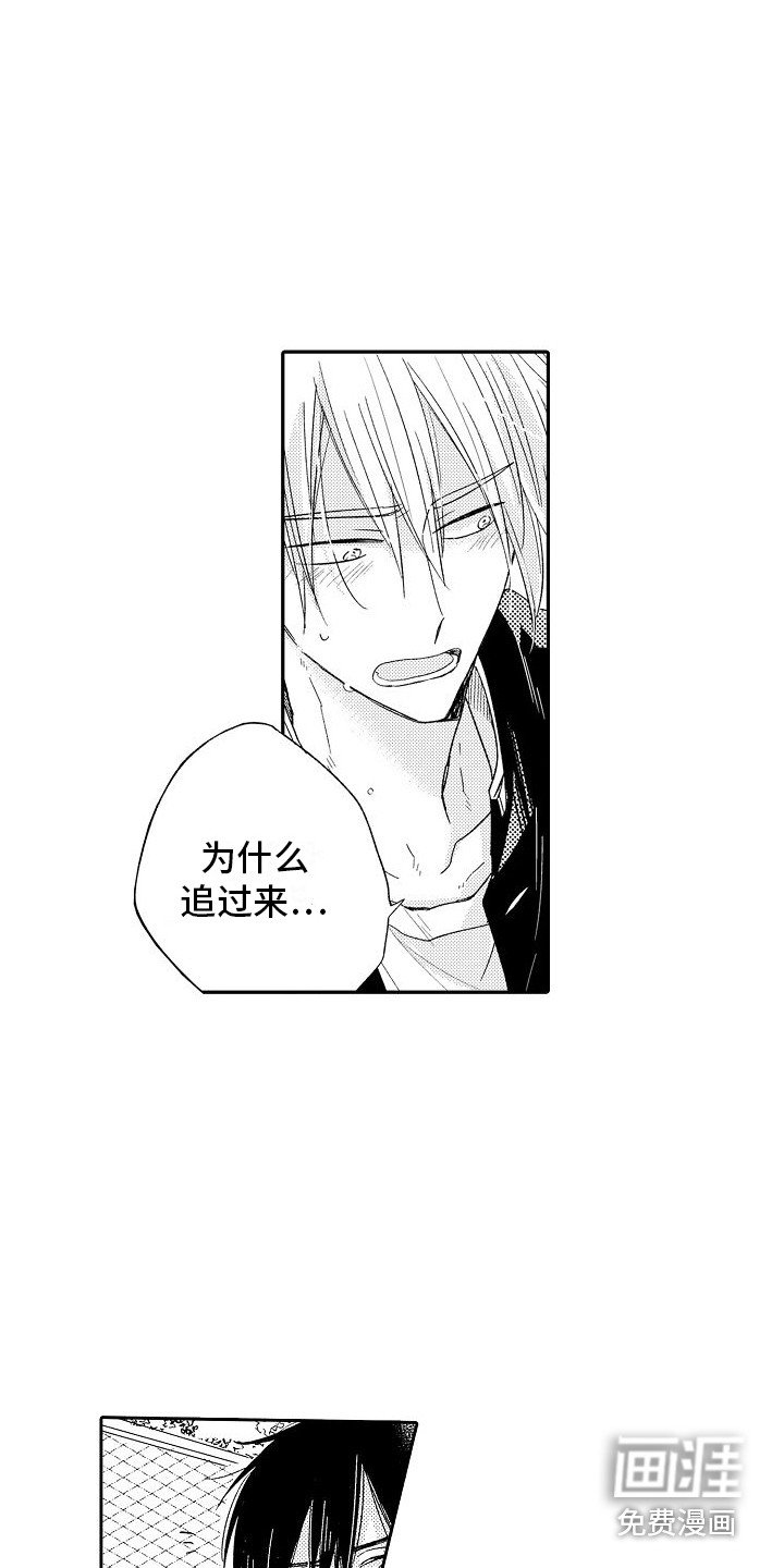 第17章：想说的话