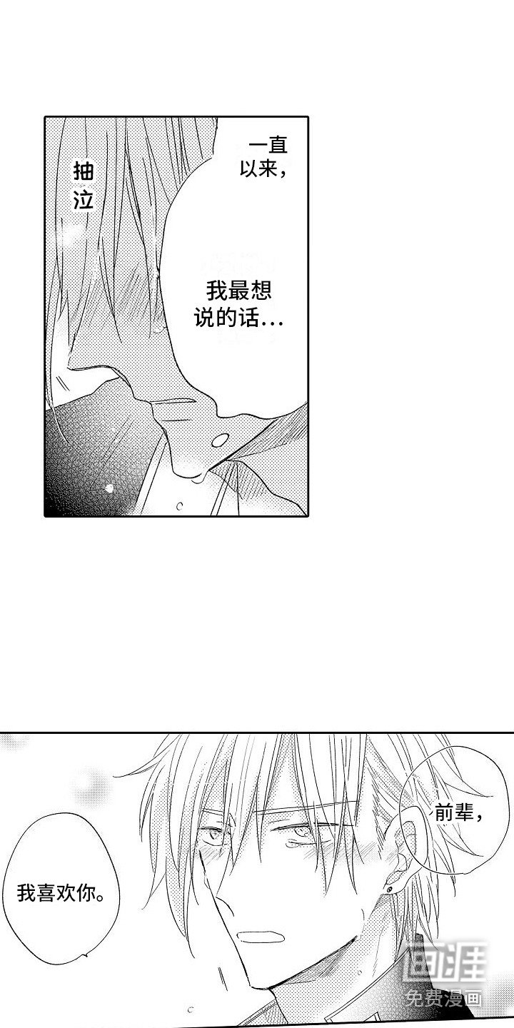 第17章：想说的话