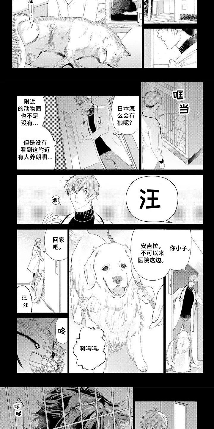 第1章：可爱的狼人