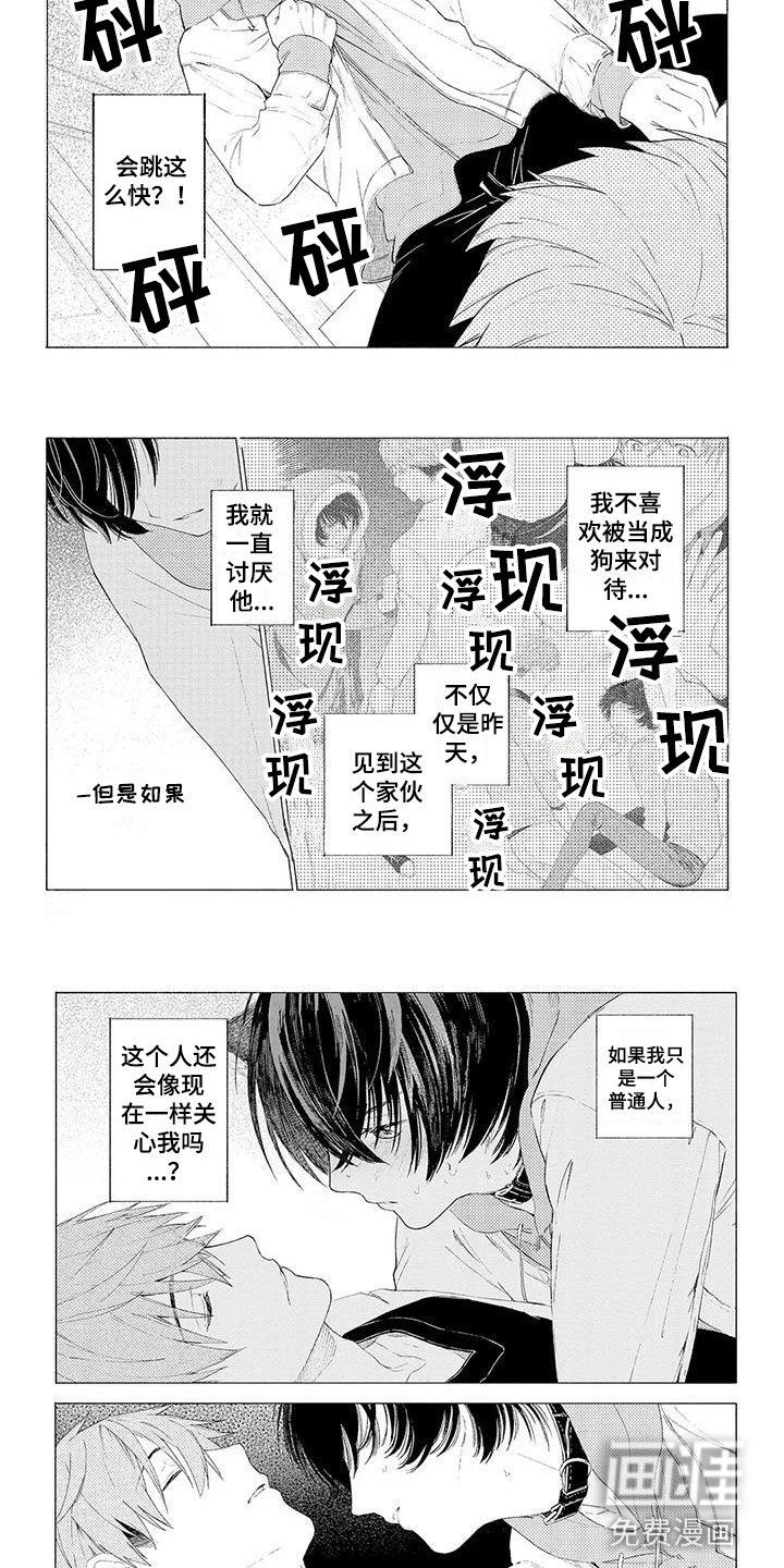 第10章：心跳加速