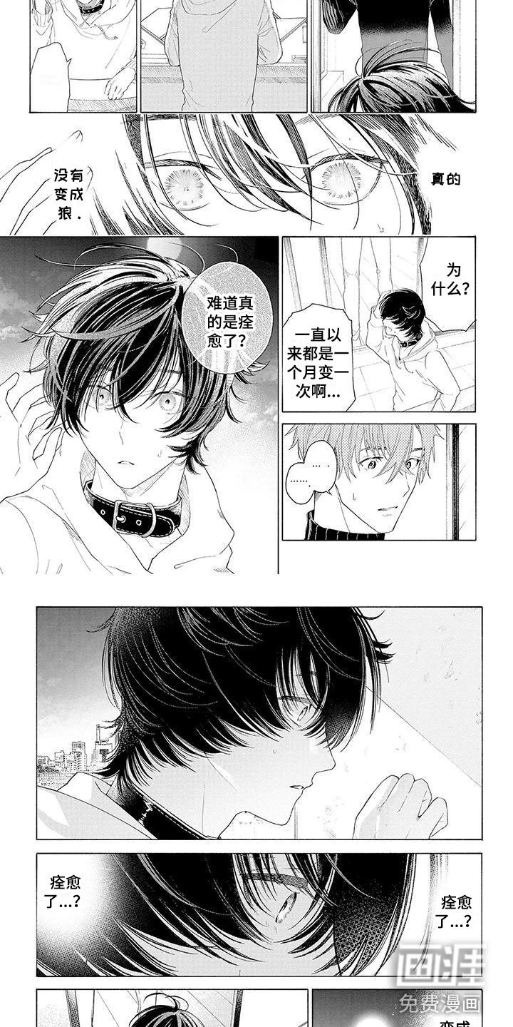 第11章：住下的理由
