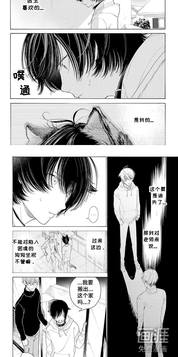 第11章：住下的理由