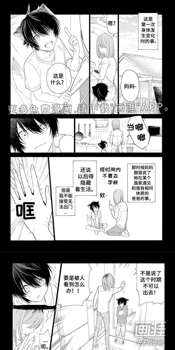 第12章：他的决定