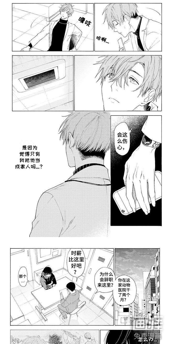 第12章：他的决定