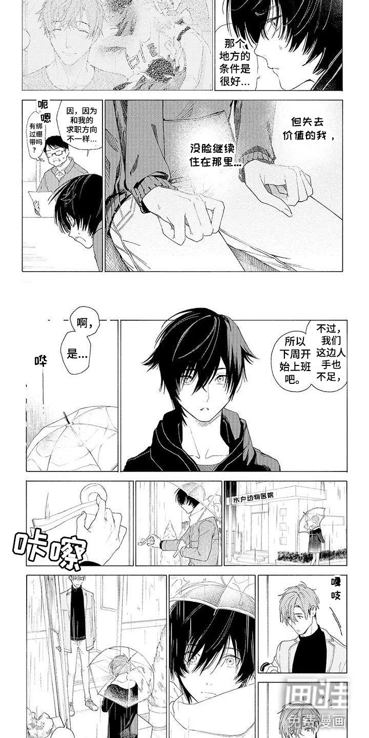 第12章：他的决定