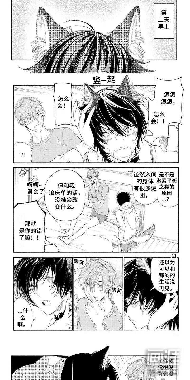 第14章：不要走