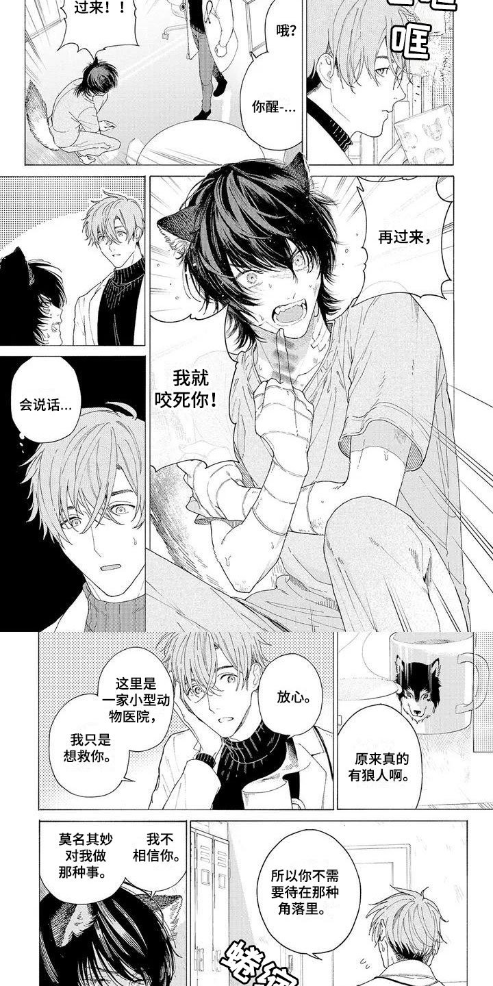 第2章：再次光临