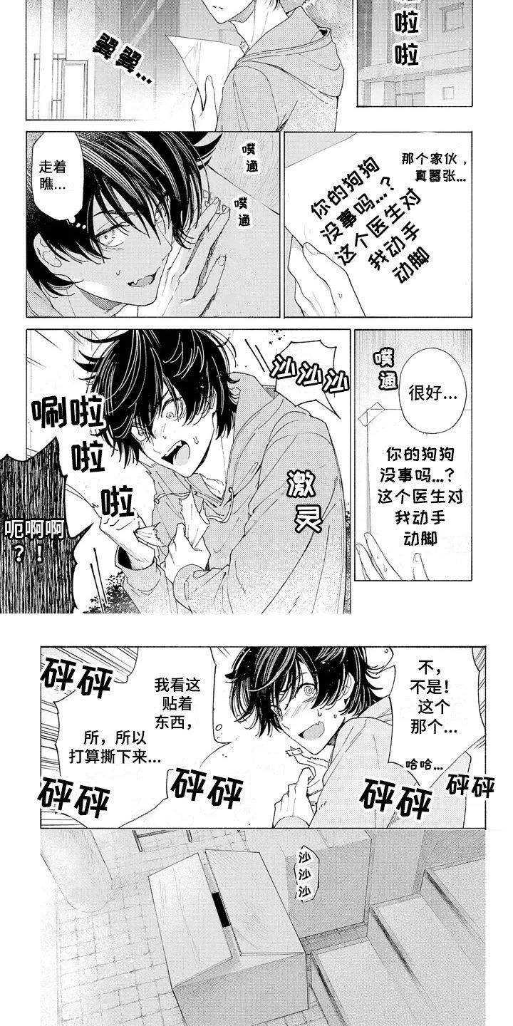 第3章：新的工作