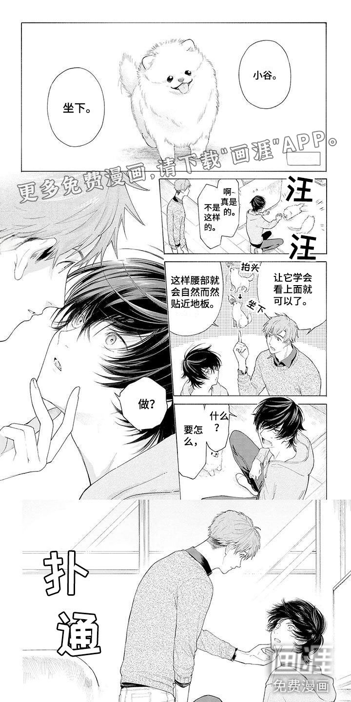 第4章：看门犬
