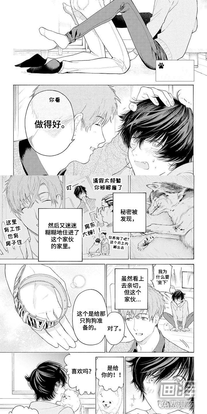 第4章：看门犬